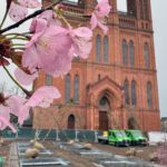 24 neue Bäume und Zisternen sollen Schlossplatz klimaresistent machen