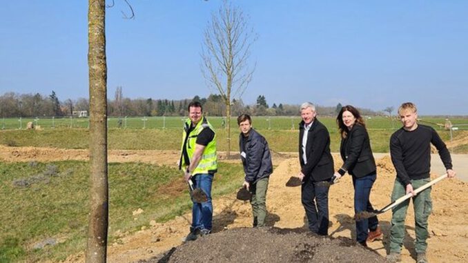 Bierstadt Nord: 83 Bäume gesetzt, zentrale Grünfläche soll Sommer 2026 eröffnen