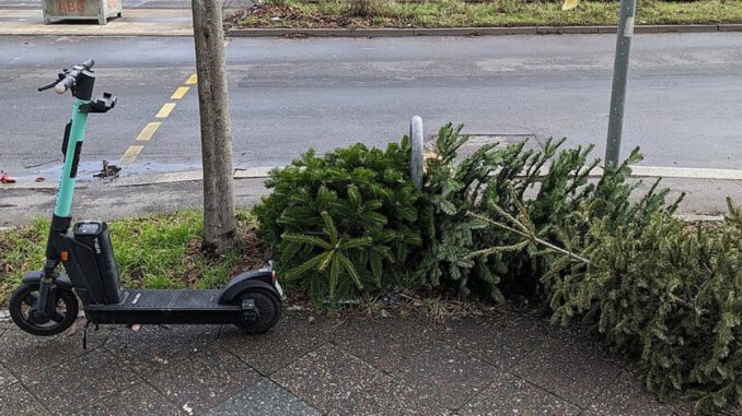 Kelsterbach: FES holt ausgediente Weihnachtsbäume an drei Terminen im Januar ab