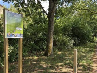 Mainz Mombach: Parcours macht Wohn und Nisthilfen für Vögel Fledermäuse und Bilche sichtbar