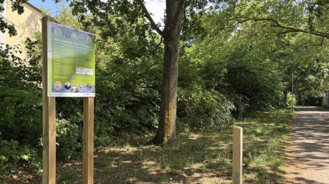 Mainz Mombach: Parcours macht Wohn und Nisthilfen für Vögel Fledermäuse und Bilche sichtbar Mainz Mombach: Parcours macht Wohn und Nisthilfen für Vögel Fledermäuse und Bilche sichtbar
