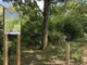 Mainz Mombach: Parcours macht Wohn und Nisthilfen für Vögel Fledermäuse und Bilche sichtbar