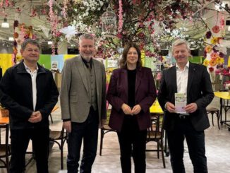 Pop up Markt in Langgasse: Drei Wochen Zwischennutzung im ehemaligen SportScheck