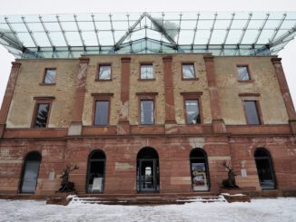 Weihnachtsbäume selbst schlagen: Verkauf aus dem Stadtwald am 13. Dezember