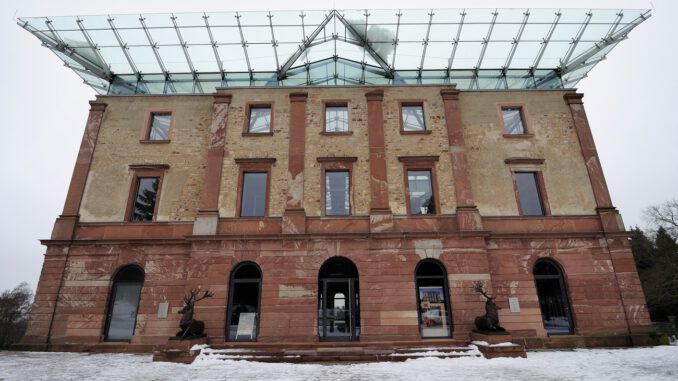 Weihnachtsbäume selbst schlagen: Verkauf aus dem Stadtwald am 13. Dezember Weihnachtsbäume selbst schlagen: Verkauf aus dem Stadtwald am 13. Dezember